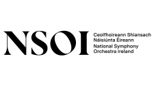 Logo for National Symphony Orchestra Ireland