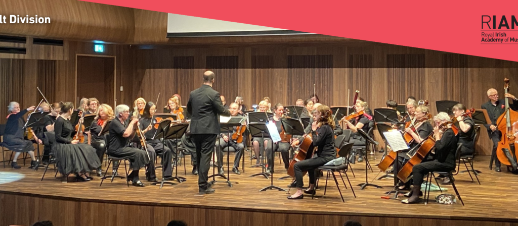Adult Division Orchestra