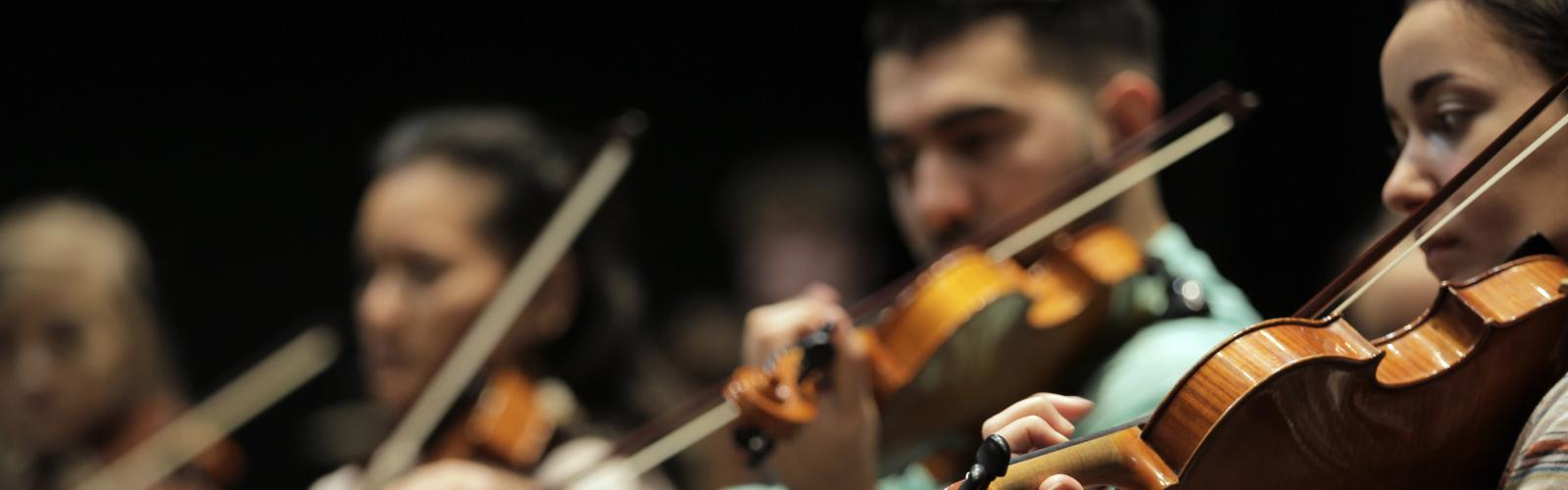 RIAM Philharmonia Strings