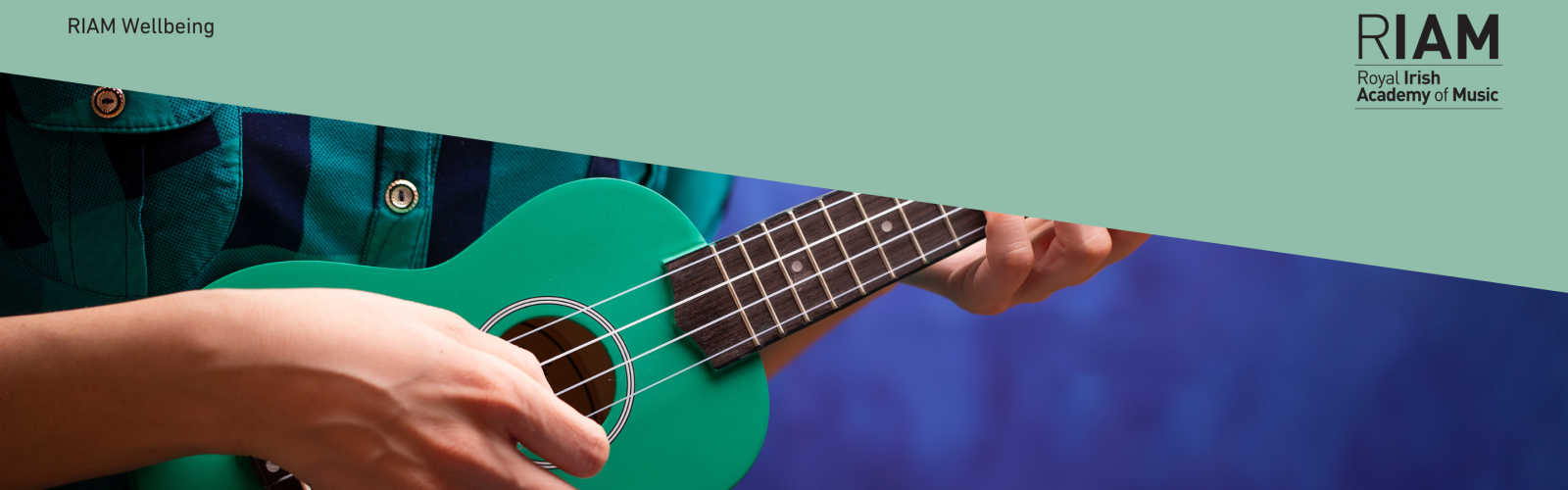 Ukulele Happy - Groovy Chords & Easy Action