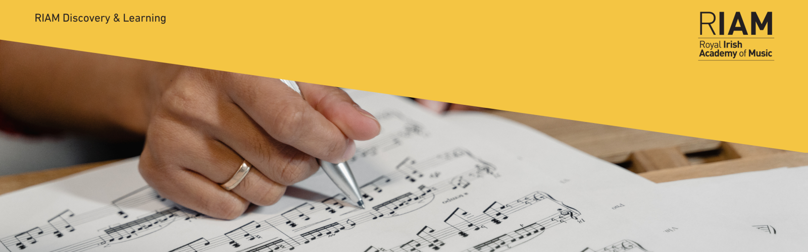Adult Music Theory Classes (Formative Level)