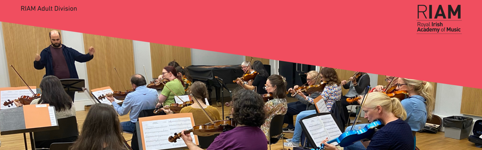 Adult Division Orchestra