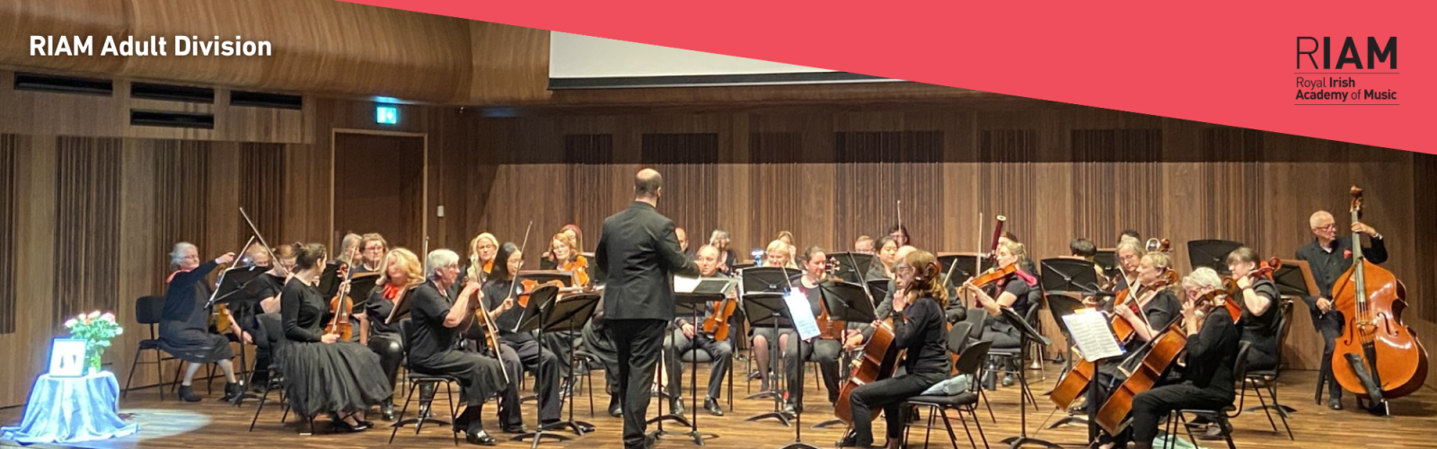 Adult Division Orchestra
